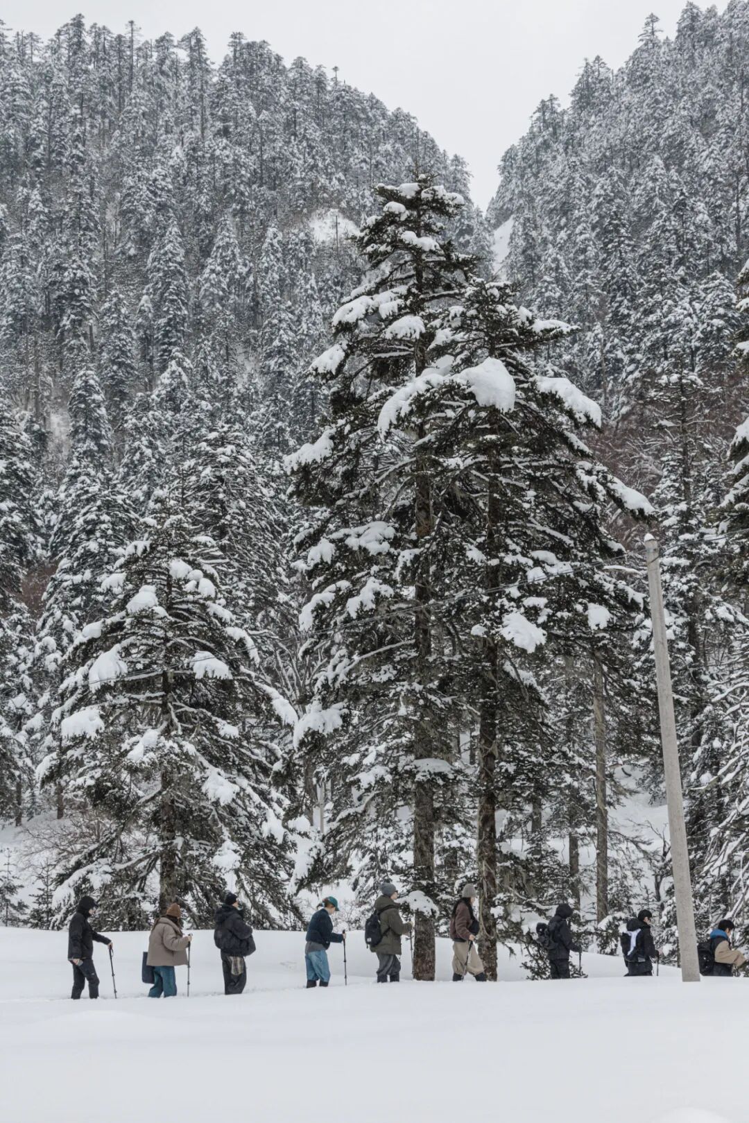香格里拉雪山徒步寻香，和谢柯大理青山村49的新度假主义。